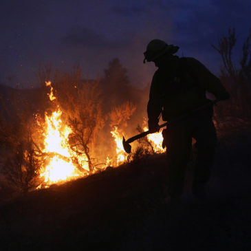 Register Now: Fire in the Shrub Steppe Wildland Urban Interface Webinar Series