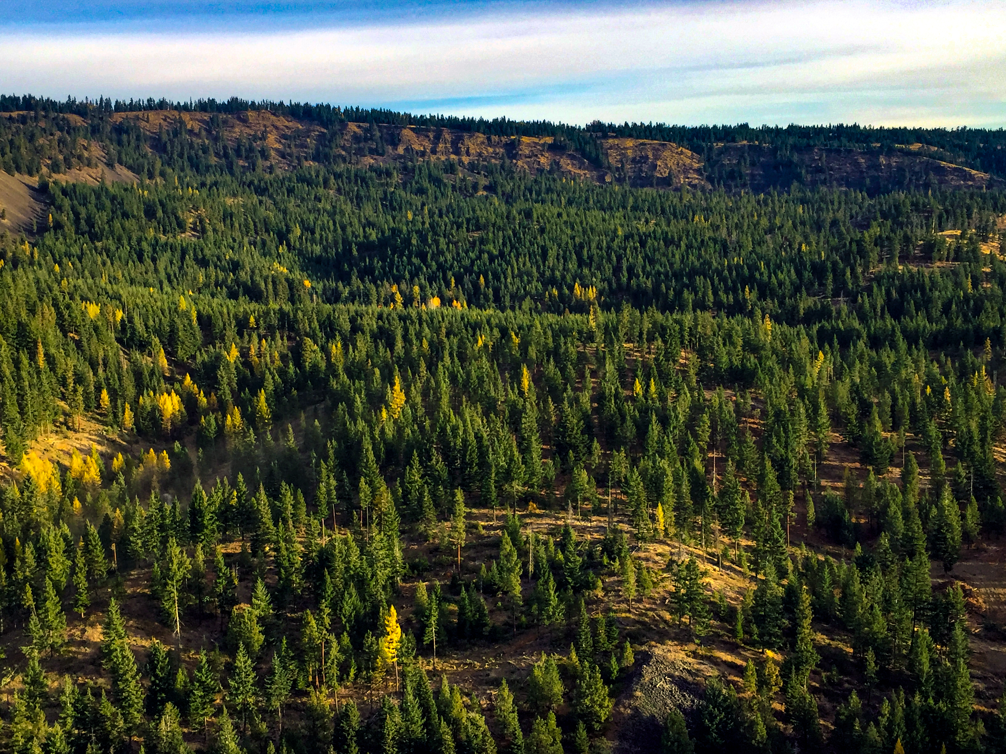 2017: Oak Creek Restoration