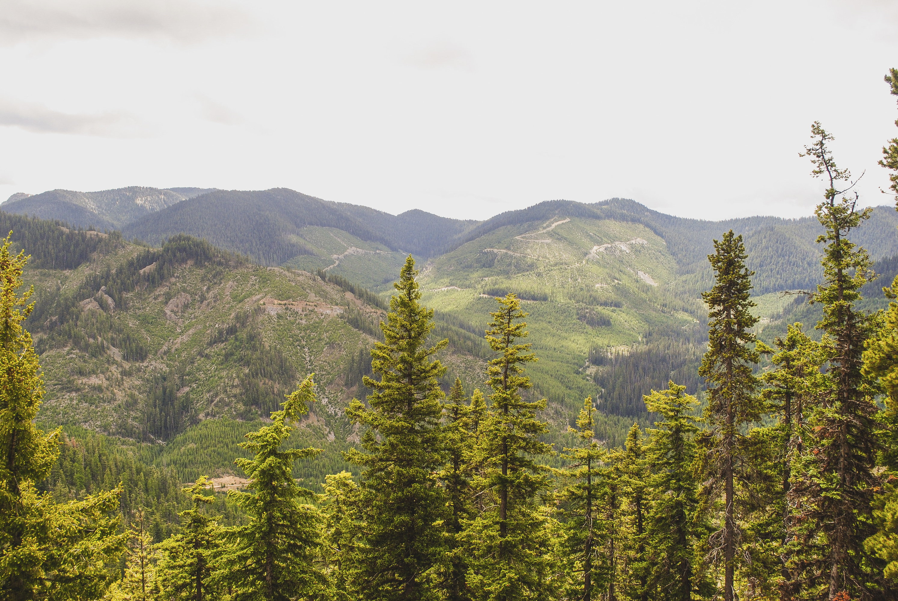 2014-Current: Little Naches Watershed Restoration