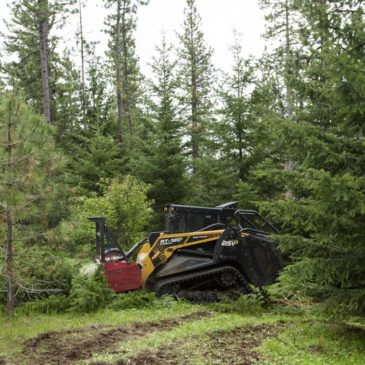 The Nature Conservancy working to create fuel breaks in Upper County forestlands