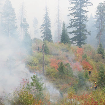 Cascadia Prescribed Fire Training Exchange (TREX) Update